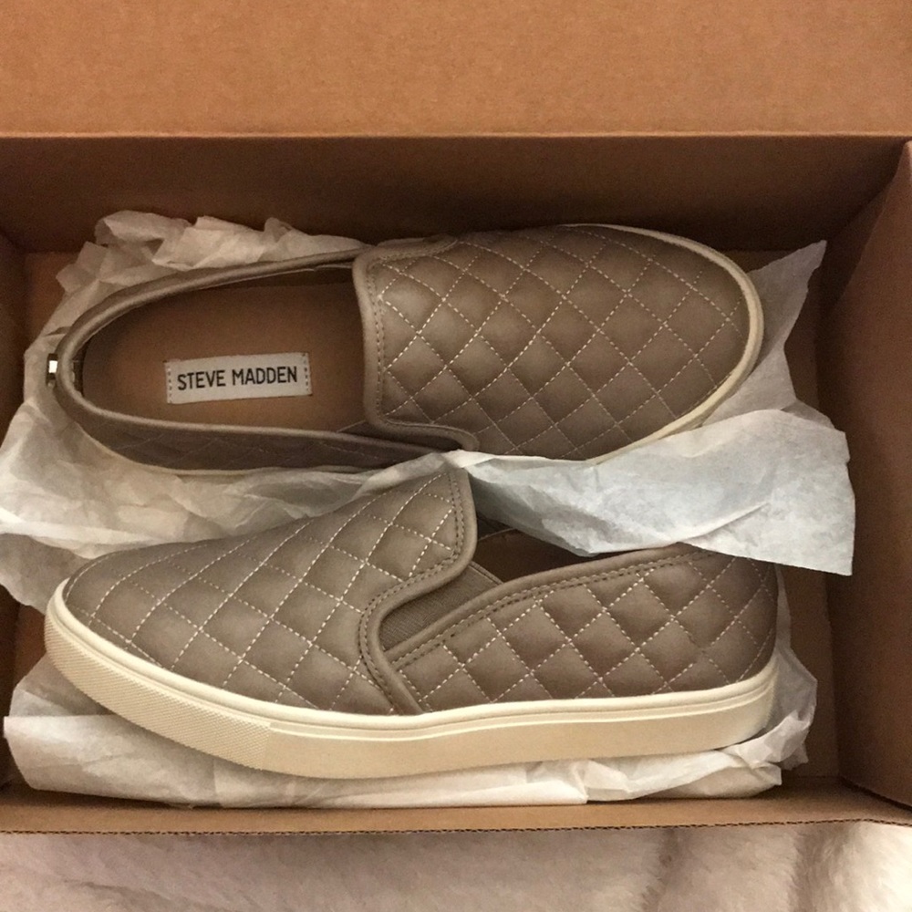 Steve Madden Ecentrcq